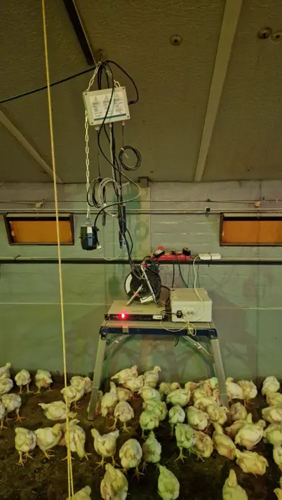 Field test